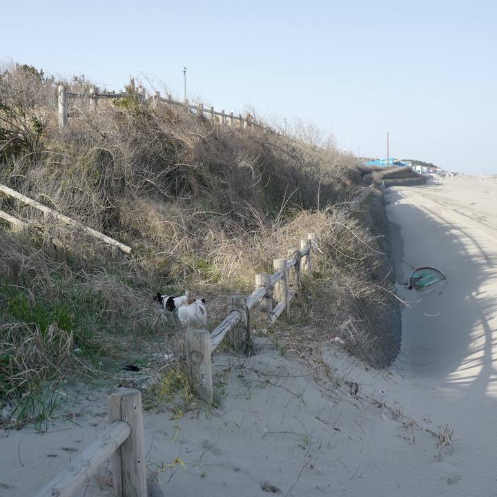 2e3070f4 0f94 41e6 ad05 55a1e0adc713 1554523866839