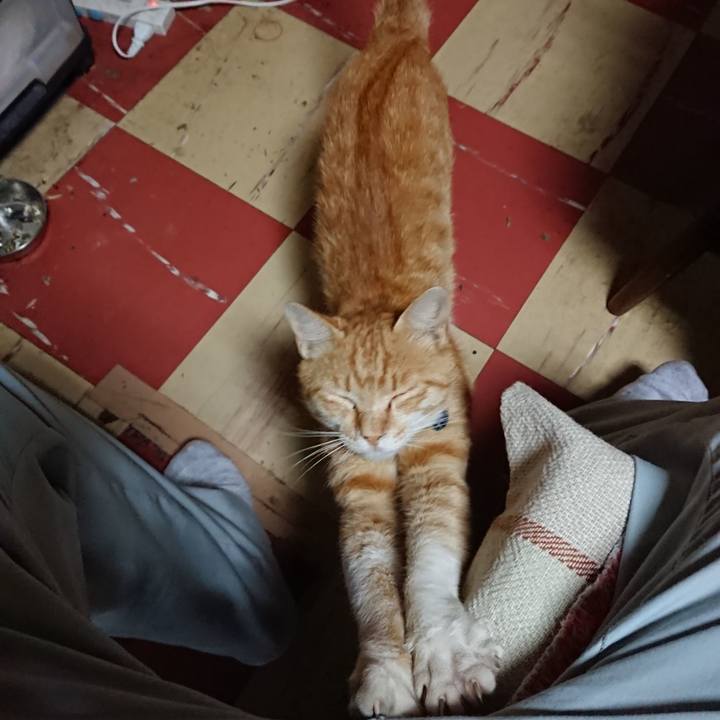 2e308df7 11d2 40b7 9a05 c610c70d21db 1561369578499