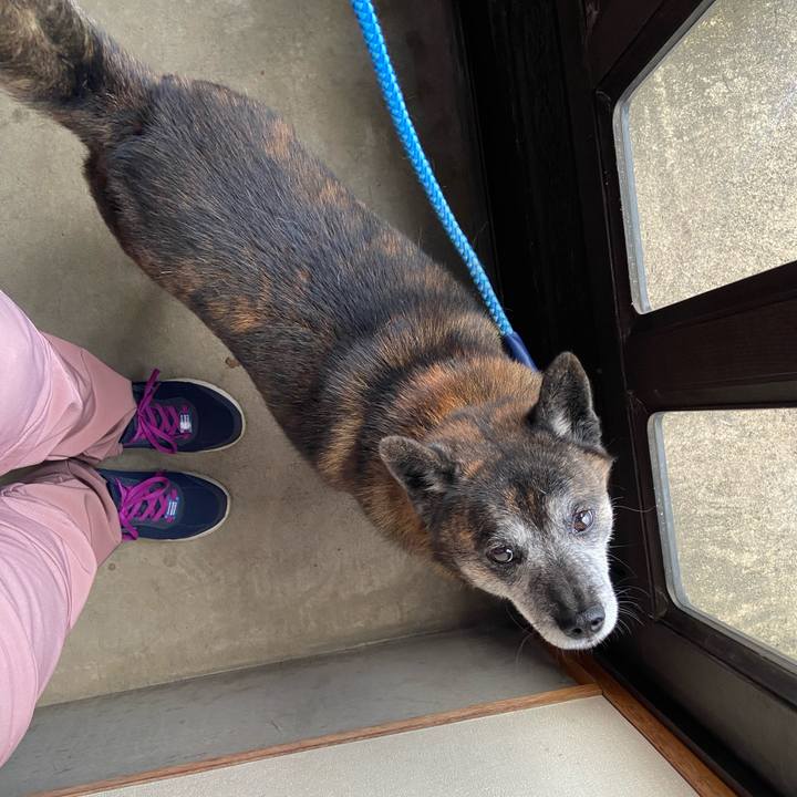 2e30b160 7673 46e4 90e0 a40eea30bbf9 1666679777039