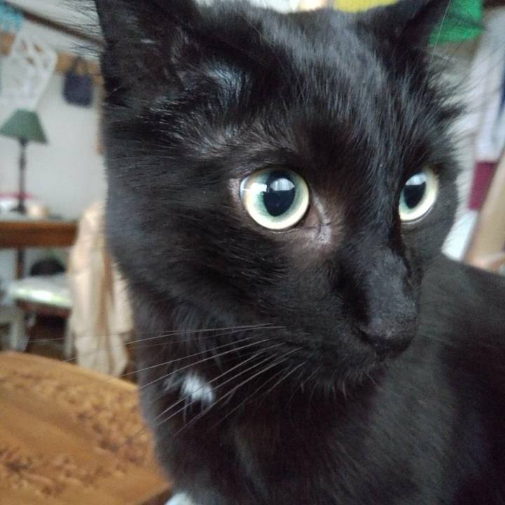 2e30c049 a65c 40fc 8a2c fe2fab4c2c50 1589074329119