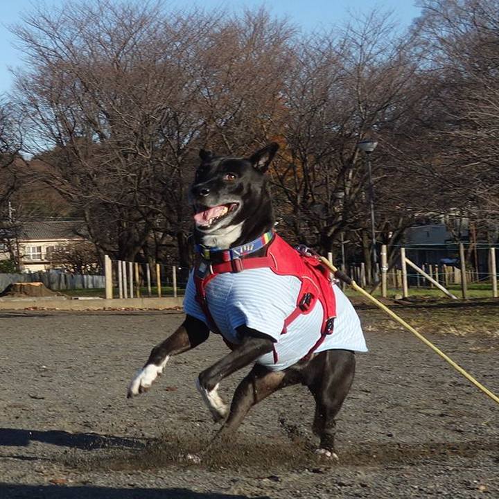 2e30f09f 237a 4985 9965 41782427fc90 1671153430410