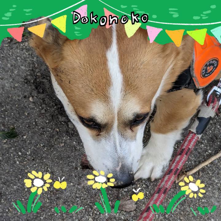 2e3100c9 2a34 4bf0 a636 ece74492796e 1711065853788