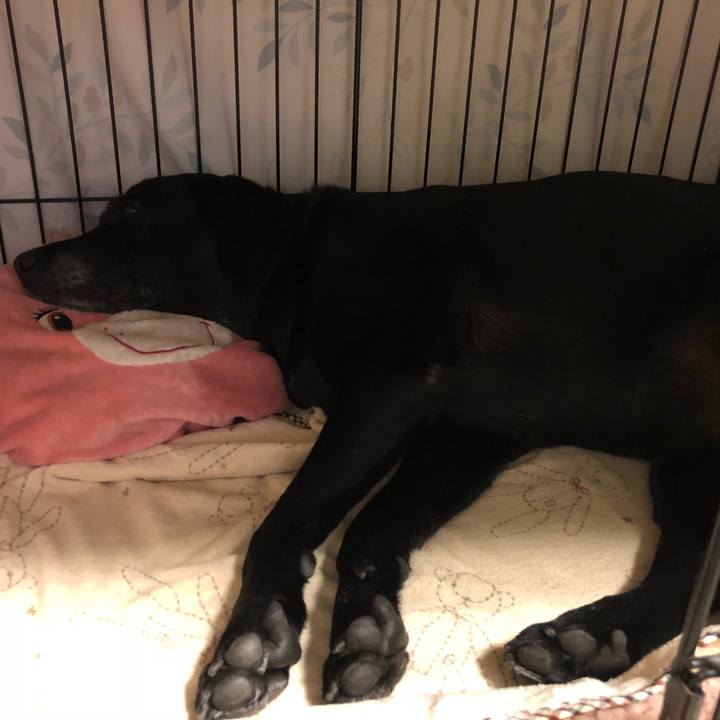 2e312b01 3ac8 405b 8b0d c1930bcc8822 1537281051278