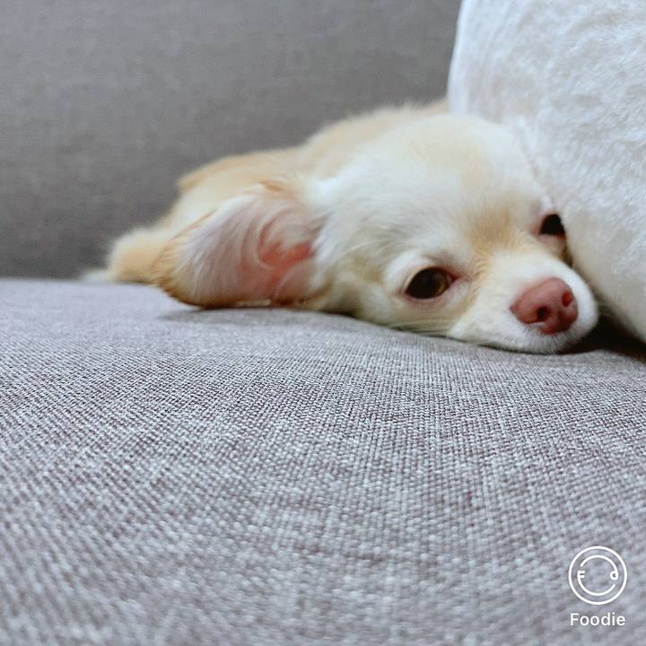 2e3149ff 5efd 4845 91c2 4f8a90762b5f 1605862061723