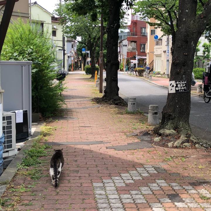 2e3153c7 b1b3 408a af68 6edaa2d106e1 1560602874220