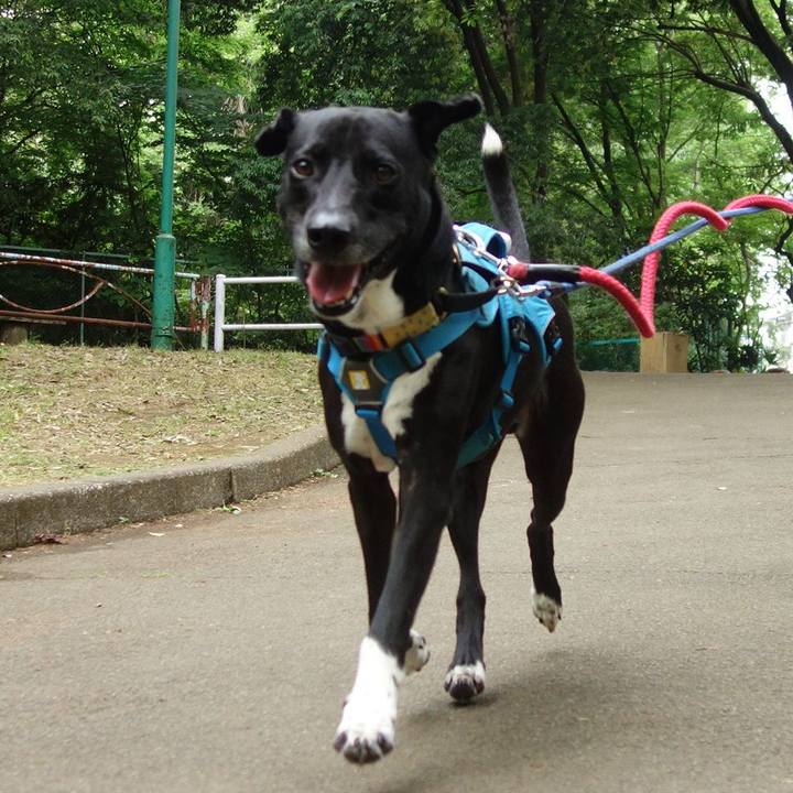 2e315c7a 6e26 4f95 9eec 4d5f73d5923a 1621297400524