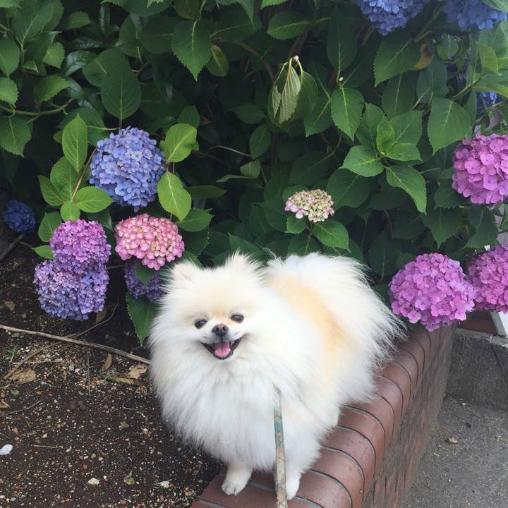 2e318f23 3d93 48b2 adbd a4b564bed080 1560055369038