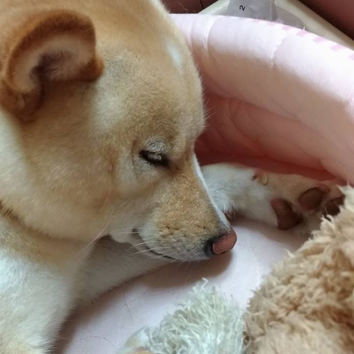 2e319e18 8b23 4d00 bc88 ffefc613ab28 1592138145859