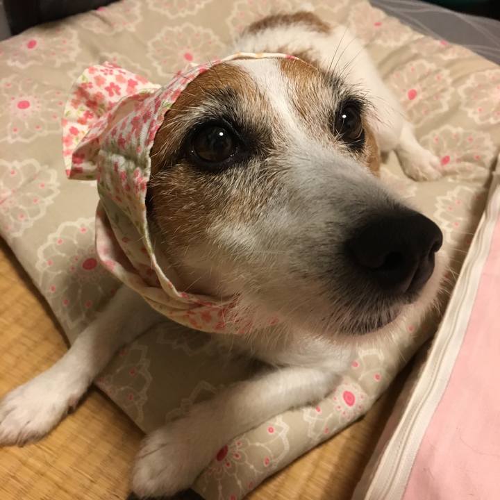 2e31a7f8 a789 4ab3 b9c2 7fc7ee41b348 1577755000223