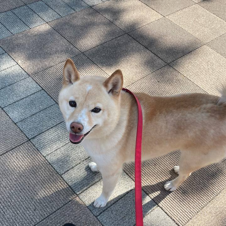 2e31aeac fada 438d 8ddc 481db7e66994 1684912131765