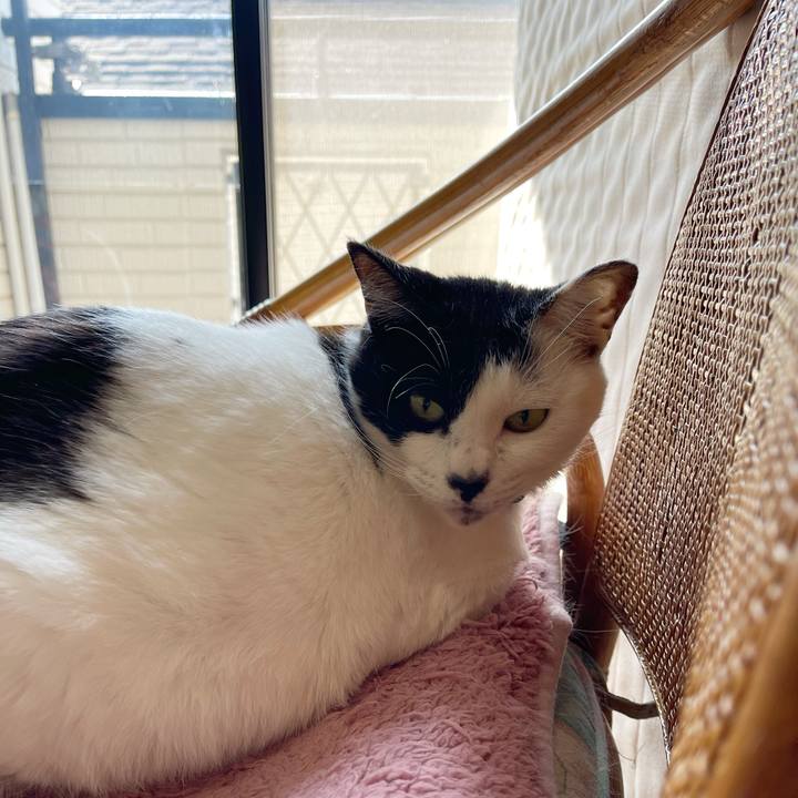 2e31c846 7199 47c2 9b30 8a4348b4acdf 1771127189266