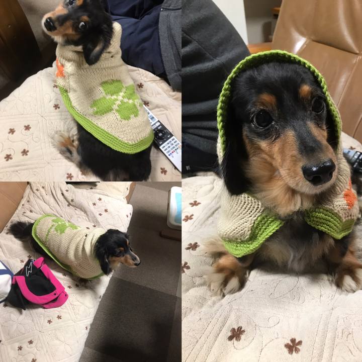 2e31cc68 04eb 4b39 a66a 1dfba706315c 1539899644815