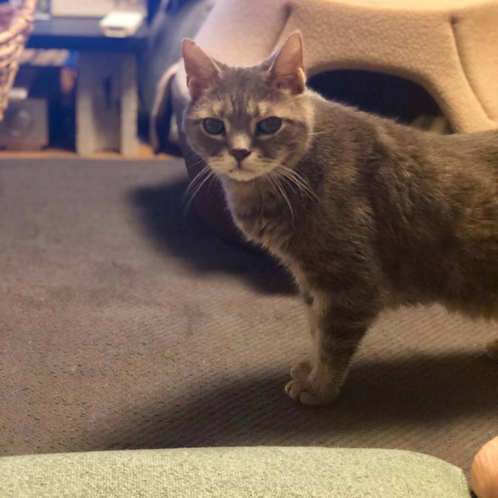 2e31d95f 616f 487f ad8a d25b28d142ba 1569591934381