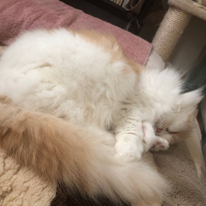 2e31e527 4144 47e9 8835 e09b2d5ecdf8 1689492806160