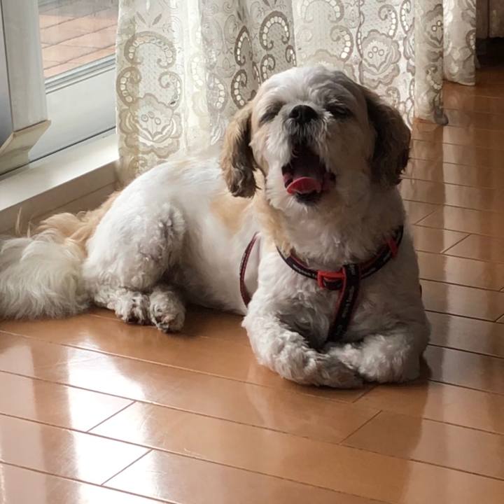 2e3222bd 6dda 48a9 875c 70152965939e 1594763467582