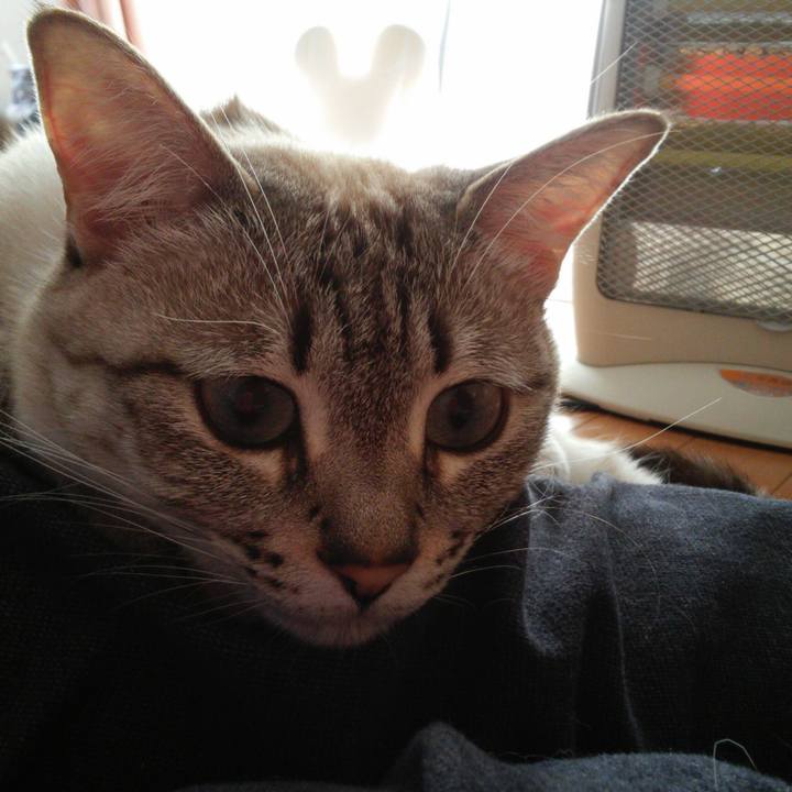 2e3223ea d29f 4a0c ac3f 1e034a696127 1516850196662