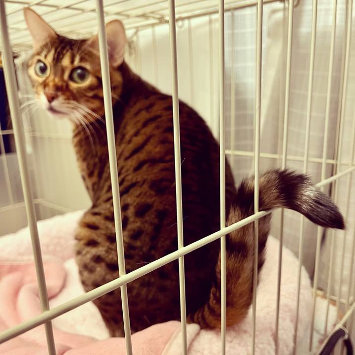 2e323429 2b38 4d8e 8cc6 7f76dfda17e3 1639704618617