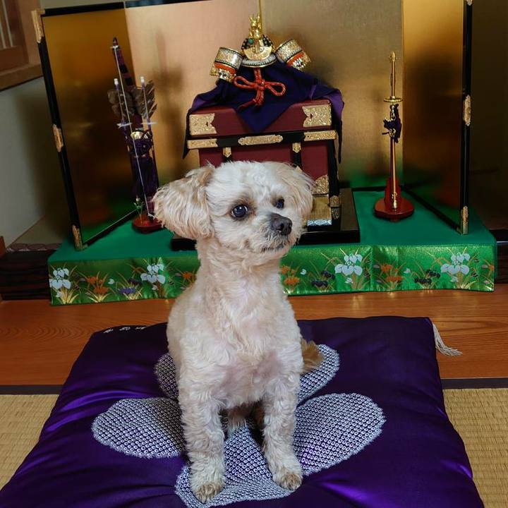 2e326ee8 efb0 4c43 8c05 0ba4643fcc3c 1620195833271