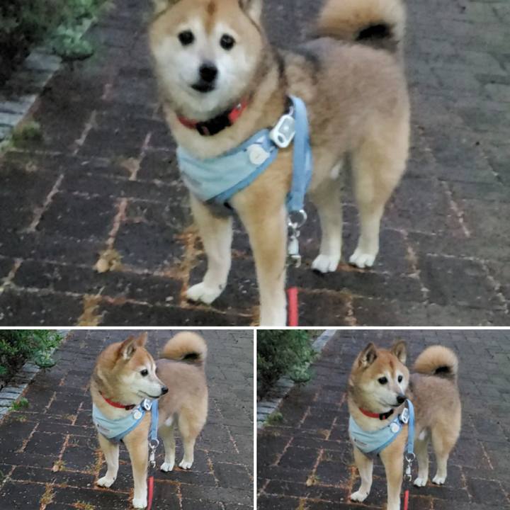 2e3283d6 959b 402f bbfb 97699c8f86a5 1625226454418