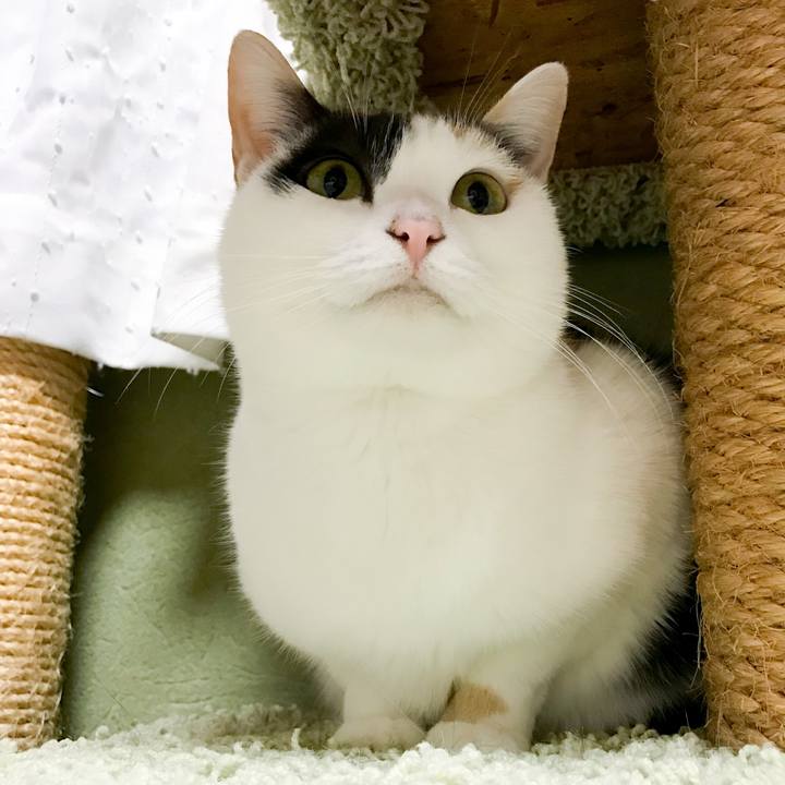 2e32a7ae ccdf 4666 9397 a6f390361a2e 1514898302097