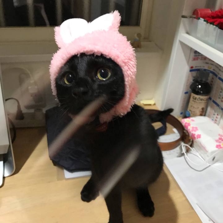 2e32bcc5 9fae 474e 9ab5 88582b44d724 1585049471614