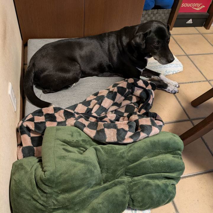 2e331454 8c7b 4783 ae48 aa30fd8d76c5 1742517936465