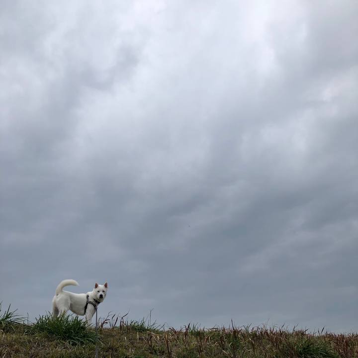 2e3331f9 e05a 462e 88a3 e03c536d07a8 1583320482593