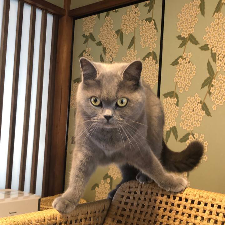 2e335c9f 9c09 448d ab5e bf5f8c27539b 1581922545658