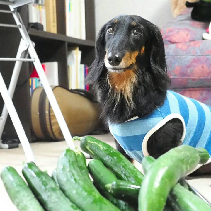 2e3387fa 3830 43da 8bff ea46e5ae53c6 1595384780683