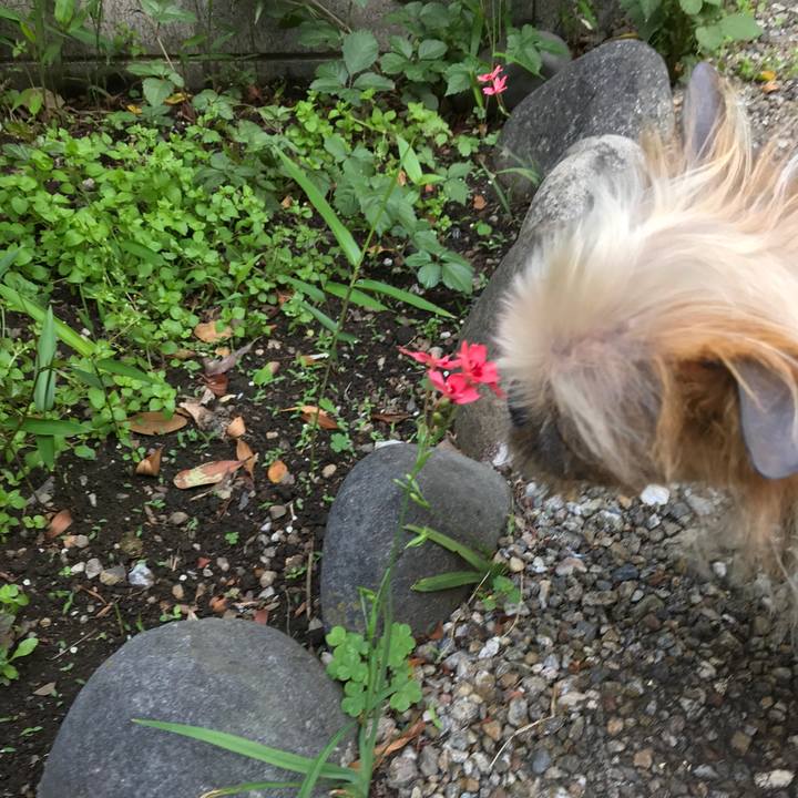 2e33b70e 1b9f 41ea b825 275b9cc0a75c 1525394929149