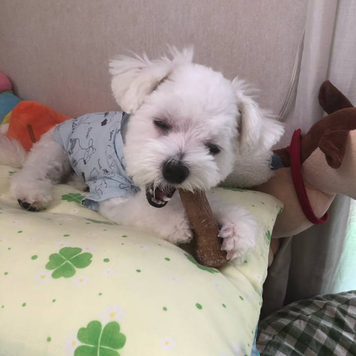 2e33f705 b06b 47c3 864d fe5b17a2385f 1531013631385