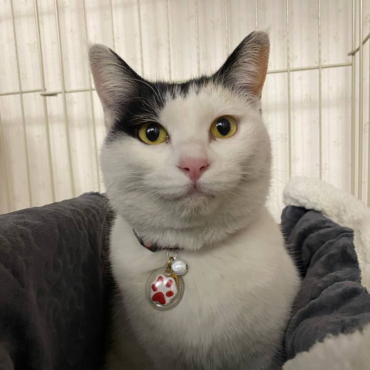 2e340d5a 5fa9 4d32 b86d ba94c45dd1f7 1642592309645