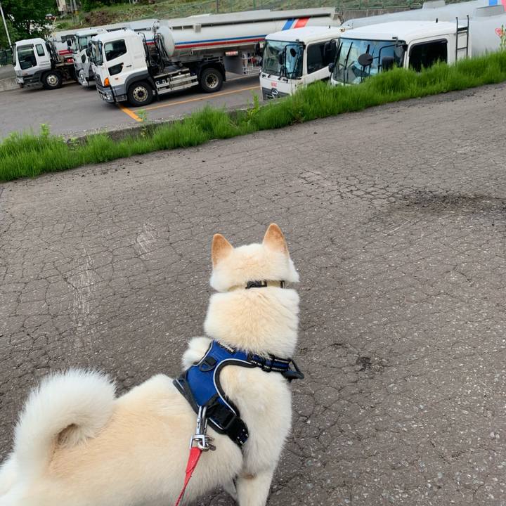 2e342ac0 3b8f 4893 b499 90e01eb0170a 1623016748678