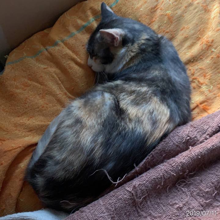 2e343e63 95da 4b3b 80e1 2de849debc5d 1562795260315