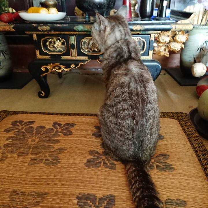 2e347005 3f16 4d3c 96b5 c535508e616f 1566103875083