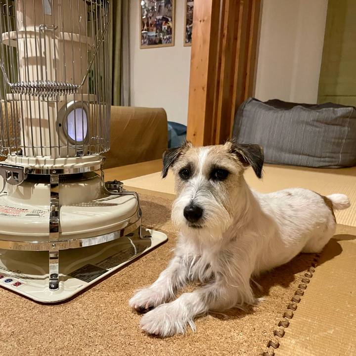 2e34701e 02ab 4add 9bf1 a216d8647c90 1666697199475