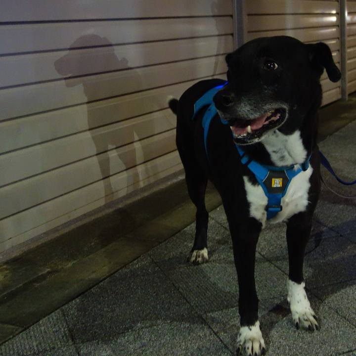 2e34a6b4 8910 4c63 9445 9e29b4636b3e 1696590190812