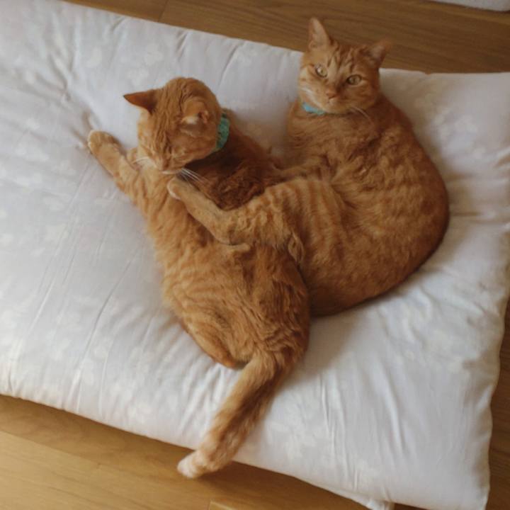 2e34c785 89ec 4a3c bf6e 40ec30750c1d 1740197672867