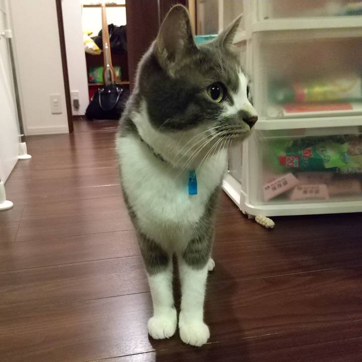 2e34de06 c1d8 4d06 a2b4 32dd4ec23c84 1605098106184