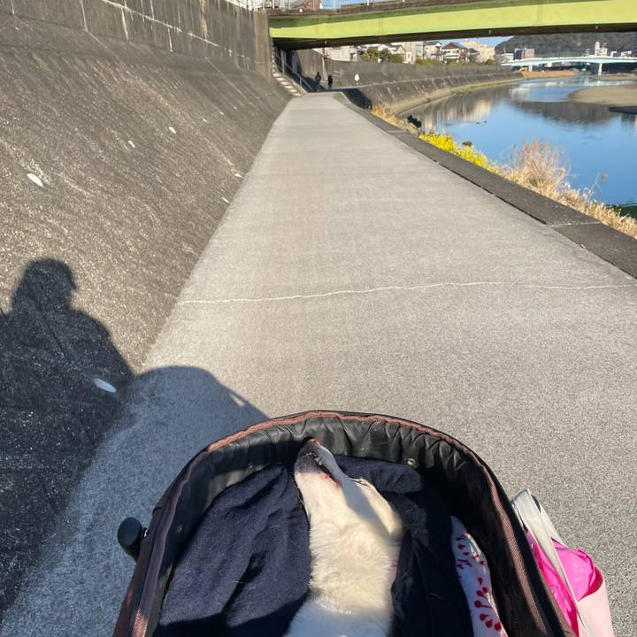 2e34eec4 175a 4edd 97ce 2e2df841d727 1677580941784