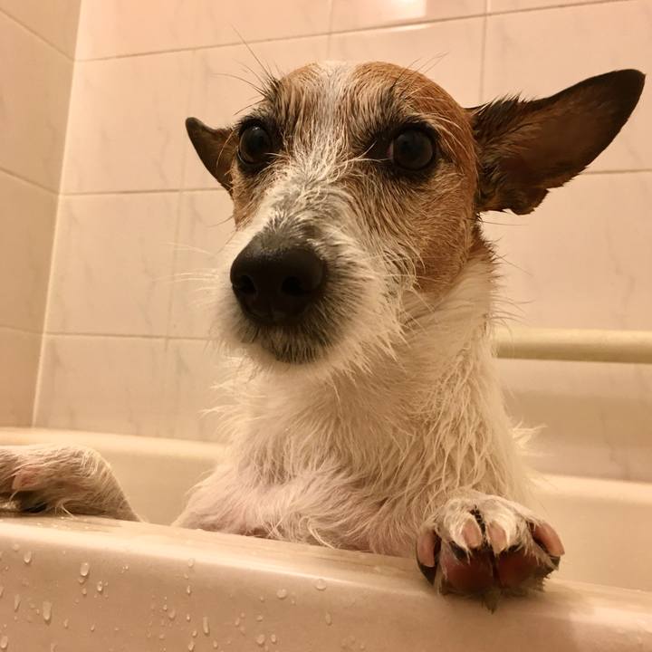 2e34f10d 3989 48d4 9d58 d0470a7179b3 1615246569483