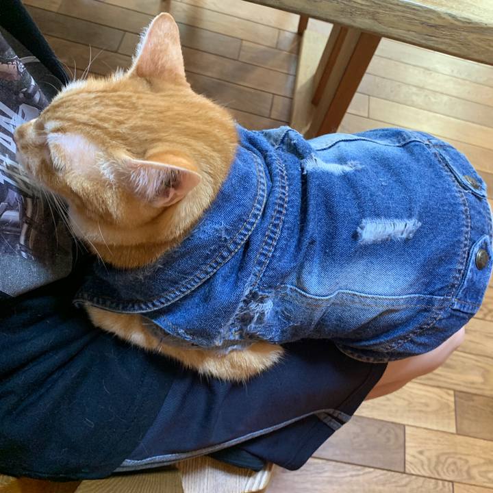 2e34f15c 0d9a 45a2 b532 1aebf7e1e37b 1655935467771