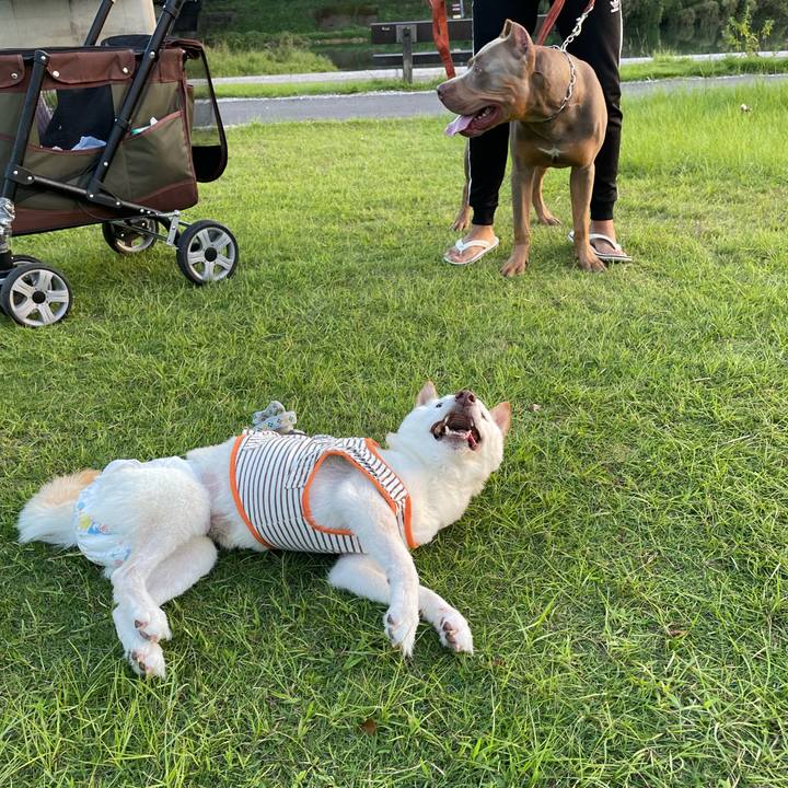 2e352b35 968d 4e0e a3e5 db50f3825033 1663933227273