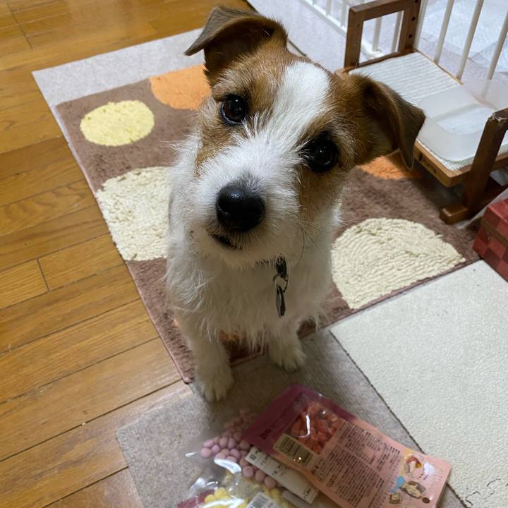 2e354c27 7499 4d84 ba25 c57c5f5a2cba 1738413926693