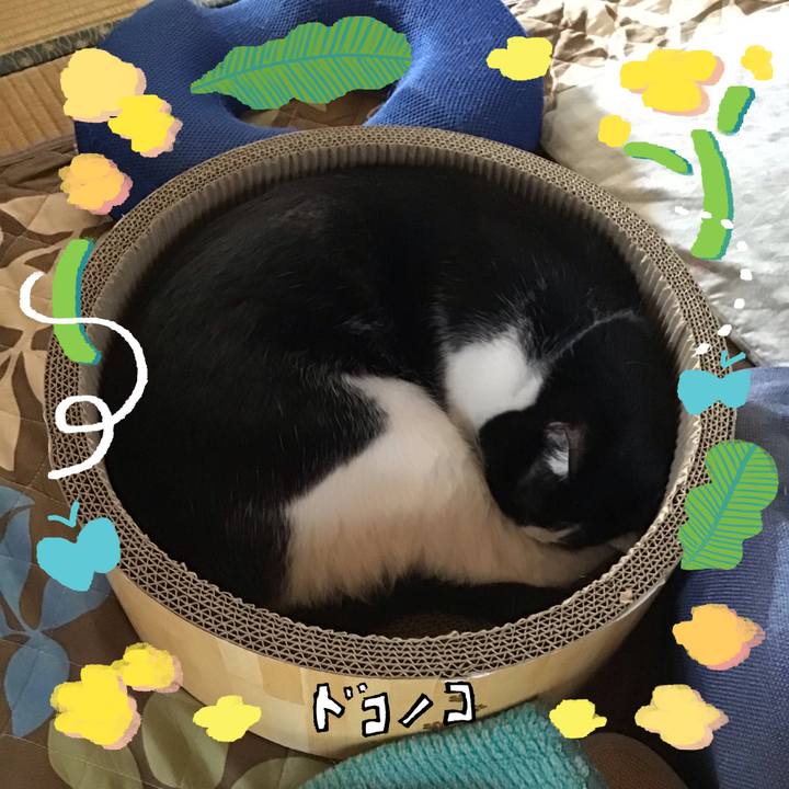 2e355d25 885d 4a51 adb5 c9c041828b4b 1744448496983