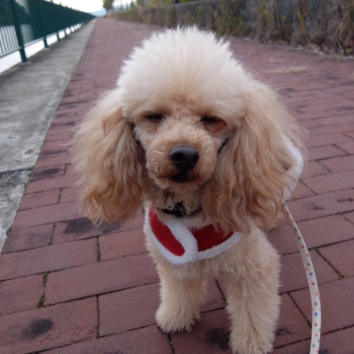 2e3584ed 3313 483a 80bf 8af01a785c3e 1512306447018