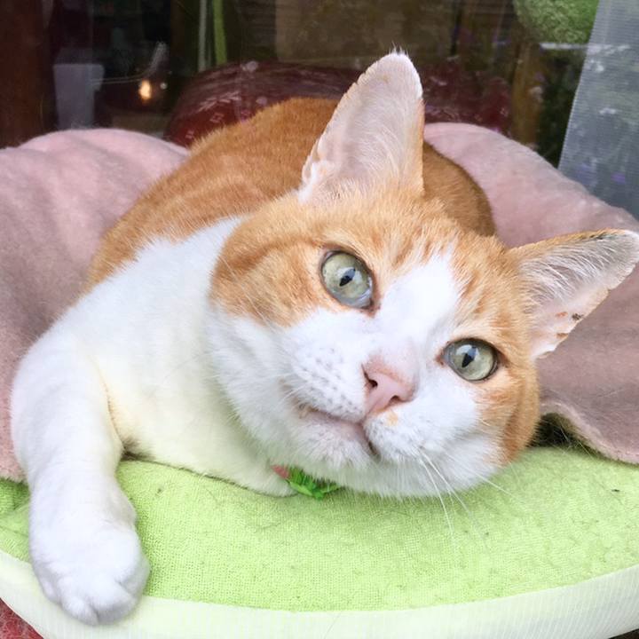 2e358cd4 f83d 4343 83e7 59504fbc2eb8 1559962531952