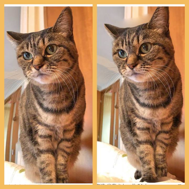 2e35e195 f839 4e54 b98e 4955822644a0 1763590260382