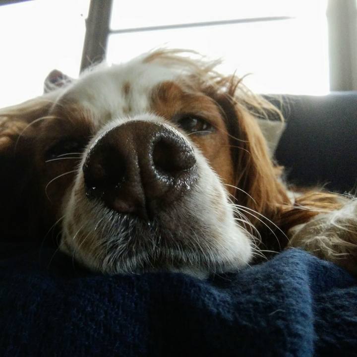 2e3603b5 bdb0 408b 8c3c e097c64bd725 1535512716299