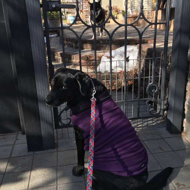 2e363087 217d 4661 b299 7f4db9215004 1517405936742